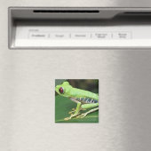 Rotes Auge Grüner Baum Frog Square Magnet (In Situ (Geschirrspüler))