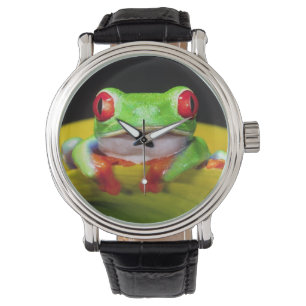 Rotes Auge Treefrog, Agalychinis callidryas, einhe Armbanduhr