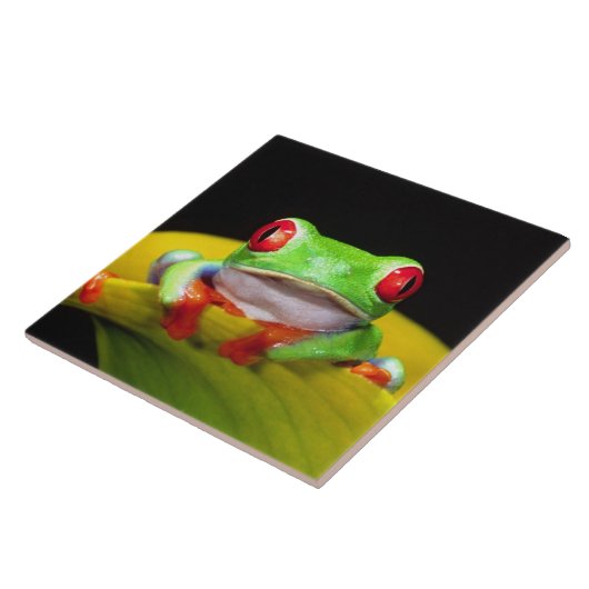 Rotes Auge Treefrog, Agalychinis callidryas, einhe Fliese (Seite)