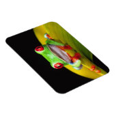 Rotes Auge Treefrog, Agalychinis callidryas, einhe Magnet (Rechte Seite)