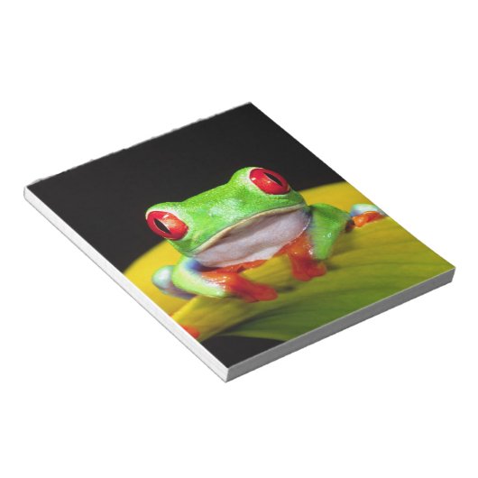 Rotes Auge Treefrog, Agalychinis callidryas, einhe Notizblock (angewinkelt)