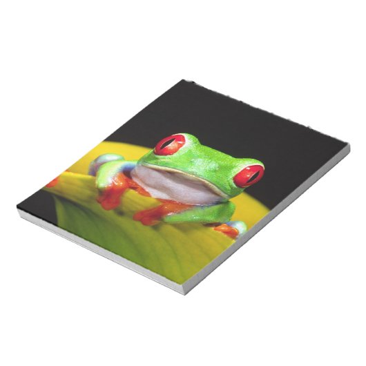 Rotes Auge Treefrog, Agalychinis callidryas, einhe Notizblock (Rotiert)