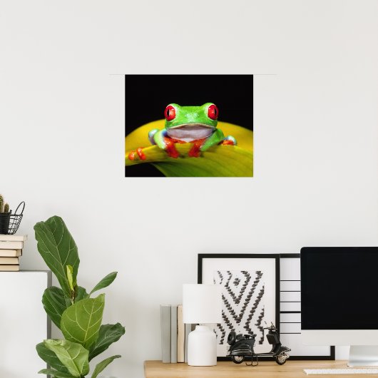 Rotes Auge Treefrog, Agalychinis callidryas, einhe Poster (Heimbüro)