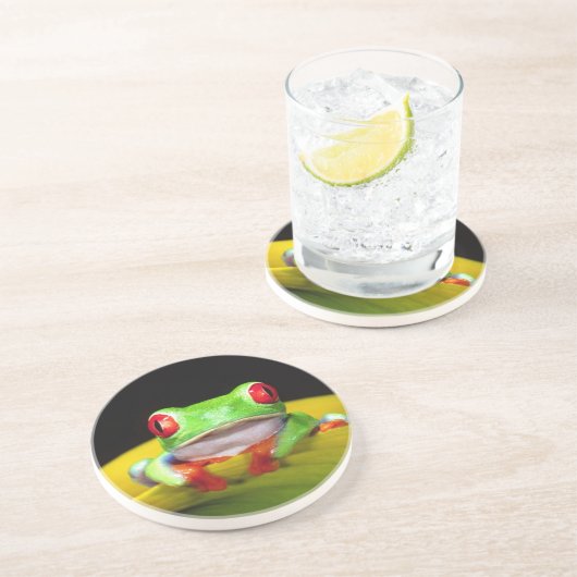 Rotes Auge Treefrog, Agalychinis callidryas, einhe Untersetzer (Seite)