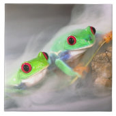 Rotes Auge Treefrog im Nebel, Agalychinis 2 Fliese (Vorderseite)