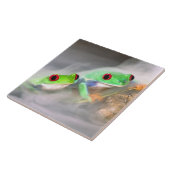 Rotes Auge Treefrog im Nebel, Agalychinis 2 Fliese (Seite)
