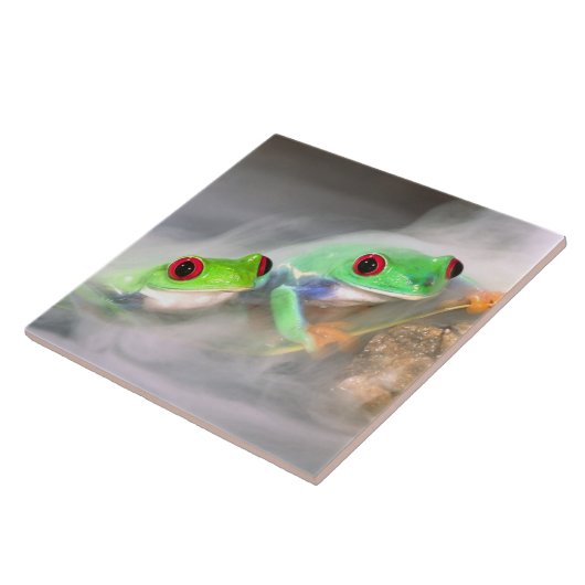 Rotes Auge Treefrog im Nebel, Agalychinis 2 Fliese (Seite)