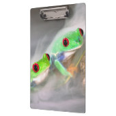 Rotes Auge Treefrog im Nebel, Agalychinis 2 Klemmbrett (Links)