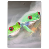 Rotes Auge Treefrog im Nebel, Agalychinis 2 Klemmbrett (Rückseite)