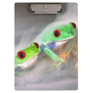 Rotes Auge Treefrog im Nebel, Agalychinis 2 Klemmbrett