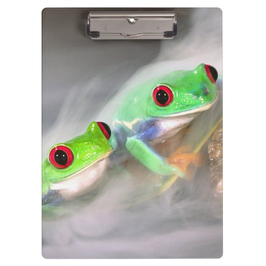 Rotes Auge Treefrog im Nebel, Agalychinis 2 Klemmbrett (Vorderseite)