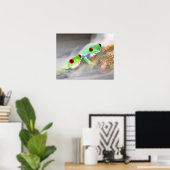 Rotes Auge Treefrog im Nebel, Agalychinis 2 Poster (Heimbüro)
