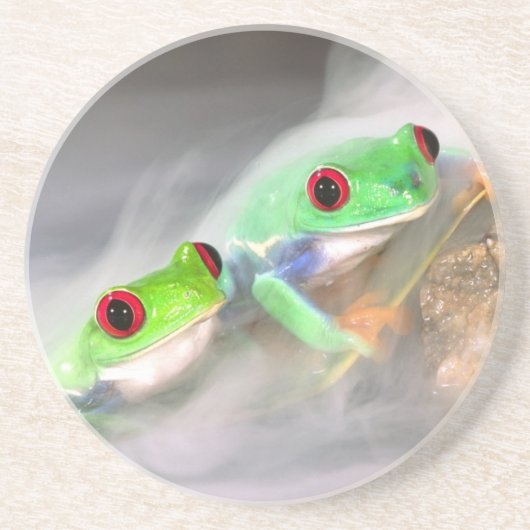 Rotes Auge Treefrog im Nebel, Agalychinis 2 Untersetzer (Vorne)