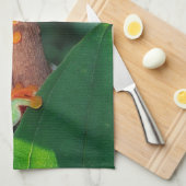 Rotes Auge Treefrog Pair, Agalychinis callidryas Geschirrtuch (Viertel Falte)