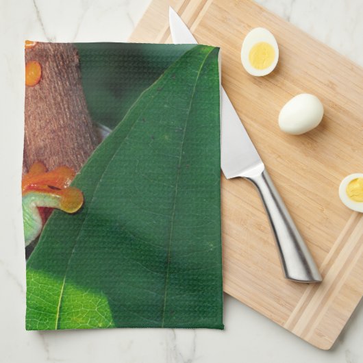 Rotes Auge Treefrog Pair, Agalychinis callidryas Geschirrtuch (Viertel Falte)