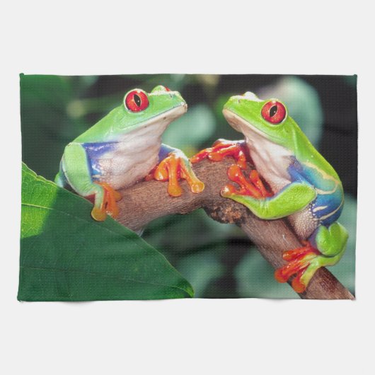 Rotes Auge Treefrog Pair, Agalychinis callidryas Geschirrtuch (Horizontal)