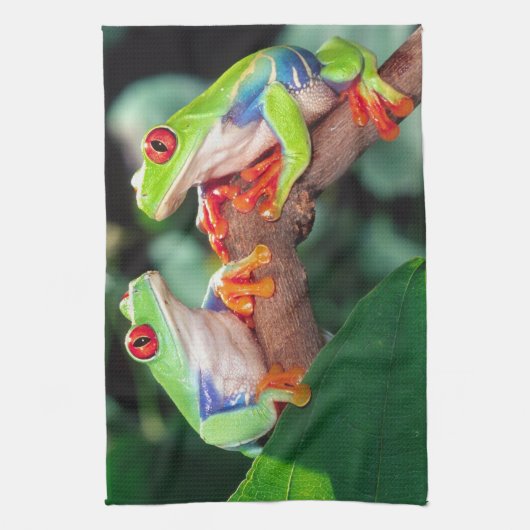 Rotes Auge Treefrog Pair, Agalychinis callidryas Geschirrtuch (Vertikal)