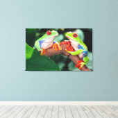 Rotes Auge Treefrog Pair, Agalychinis callidryas Leinwanddruck (Insitu (Holzboden))