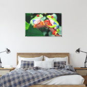 Rotes Auge Treefrog Pair, Agalychinis callidryas Leinwanddruck (Insitu (Schlafzimmer))