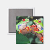 Rotes Auge Treefrog Pair, Agalychinis callidryas Magnet (Vorderseite/Rückseite)