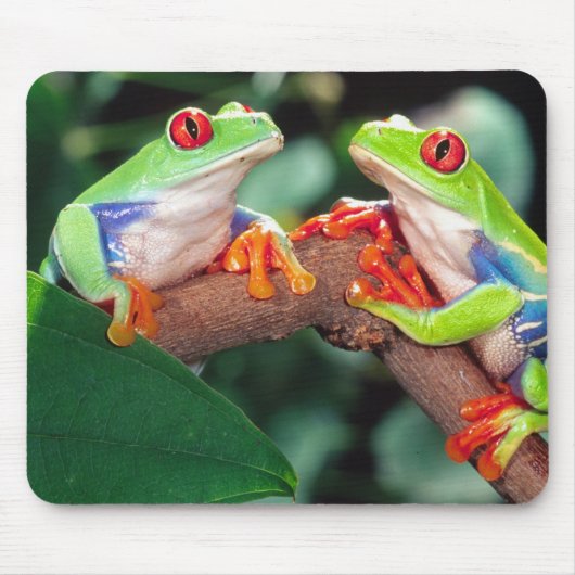 Rotes Auge Treefrog Pair, Agalychinis callidryas Mousepad (Vorne)