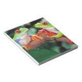 Rotes Auge Treefrog Pair, Agalychinis callidryas Notizblock (angewinkelt)