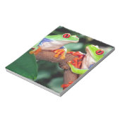Rotes Auge Treefrog Pair, Agalychinis callidryas Notizblock (Rotiert)