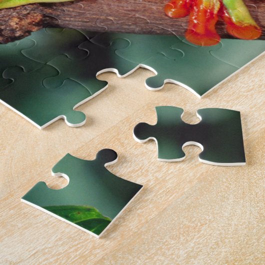 Rotes Auge Treefrog Pair, Agalychinis callidryas Puzzle (Seite)