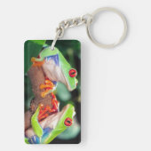 Rotes Auge Treefrog Pair, Agalychinis callidryas Schlüsselanhänger (Rückseite)