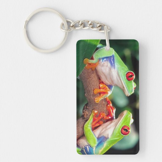 Rotes Auge Treefrog Pair, Agalychinis callidryas Schlüsselanhänger (Vorderseite)