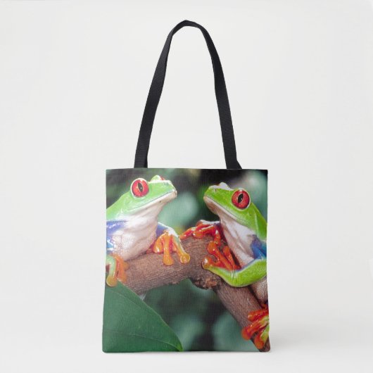 Rotes Auge Treefrog Pair, Agalychinis callidryas Tasche (Vorderseite)