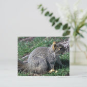 Rotes Baumhirrel Postkarte (Stehend Vorderseite)