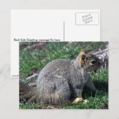 Rotes Baumhirrel Postkarte (Vorne/Hinten)