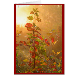 rotes Blatt