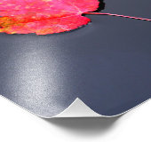 Rotes Blatt an der Seite Fotodruck (Ecke)