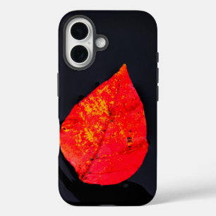 Rotes Blatt iPhone 16 Hülle