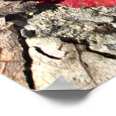 Rotes Blatt Foto Poster (Ecke)