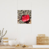 Rotes Blatt Foto Poster (Küche)