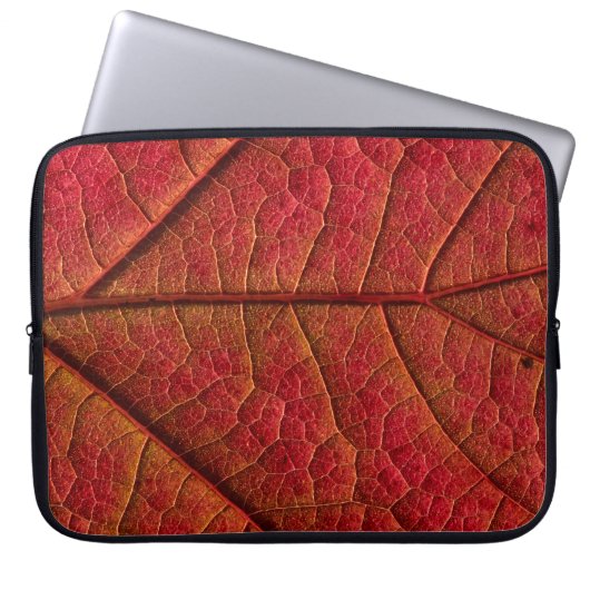 Rotes Blatt Laptopschutzhülle (Vorderseite)