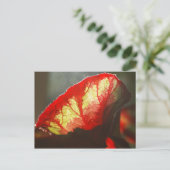 Rotes Blatt Postkarte (Stehend Vorderseite)