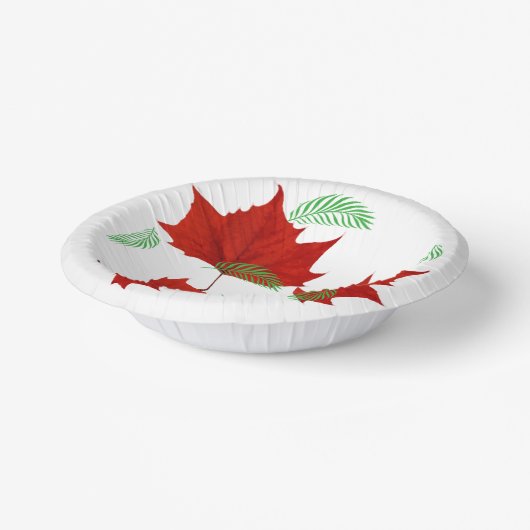 Rotes Blatt und Ferne Pappteller (Gewinkelt)