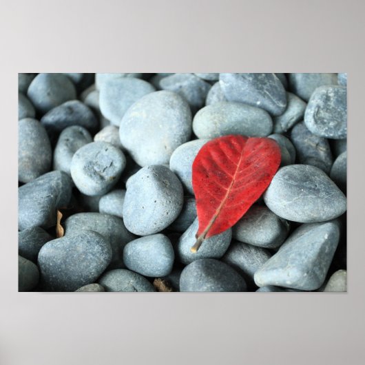 Rotes Blatt und Steine Poster (Vorne)