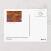 Rotes Blau und orange Blume Postkarte (Rückseite)