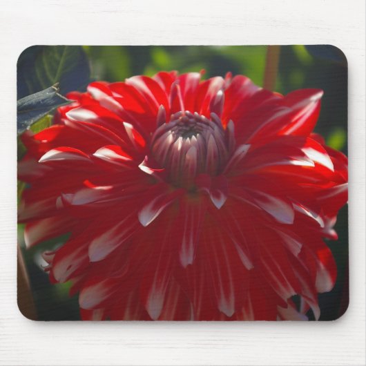 Rotes Blume mousepad (Vorne)