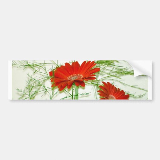 Rotes Blumen Autoaufkleber (Vorne)
