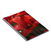 Rotes Blumen-Fotonotizbuch Notizblock (Rechte Seite)