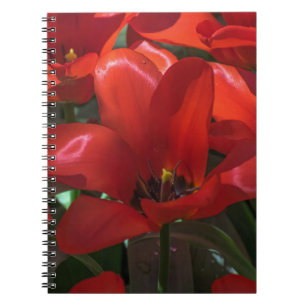 Rotes Blumen-Fotonotizbuch Notizblock