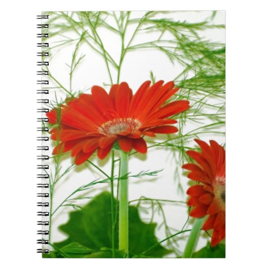 Rotes Blumen Notizblock (Vorderseite)