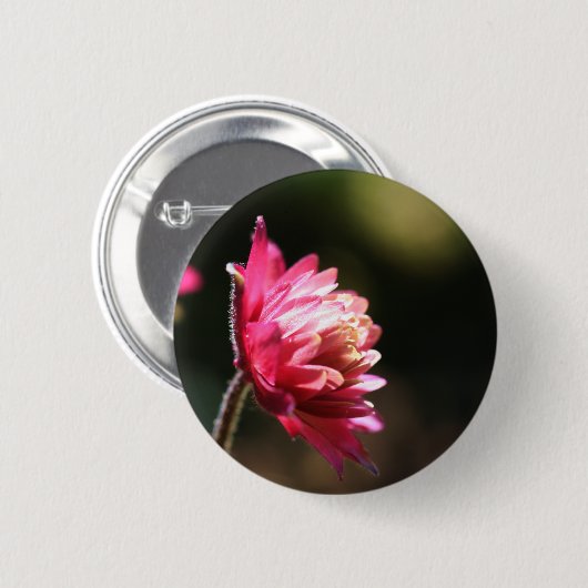 Rotes Blumen-Sonnenlicht-Blumenknopf Button (Vorne & Hinten)