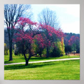 Rotes Blütenpflaster Poster (Vorne)